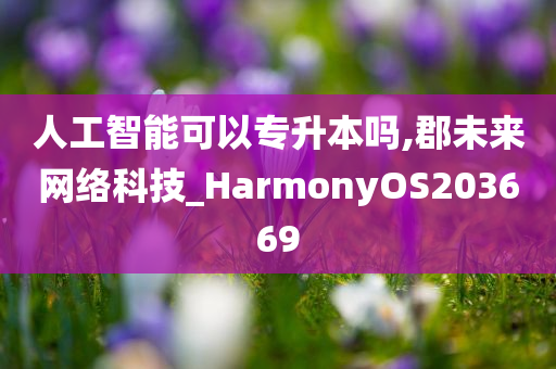 人工智能可以专升本吗,郡未来网络科技_HarmonyOS203669