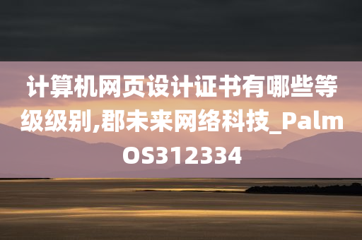 计算机网页设计证书有哪些等级级别,郡未来网络科技_PalmOS312334