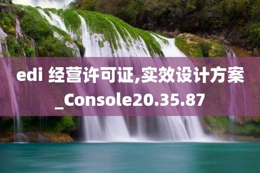 edi 经营许可证,实效设计方案_Console20.35.87