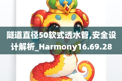 隧道直径50软式透水管,安全设计解析_Harmony16.69.28