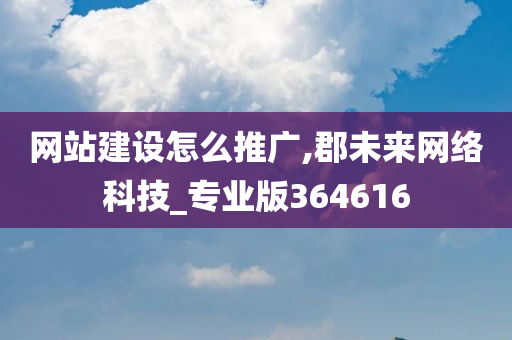 网站建设怎么推广,郡未来网络科技_专业版364616