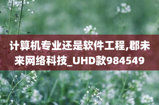 计算机专业还是软件工程,郡未来网络科技_UHD款984549