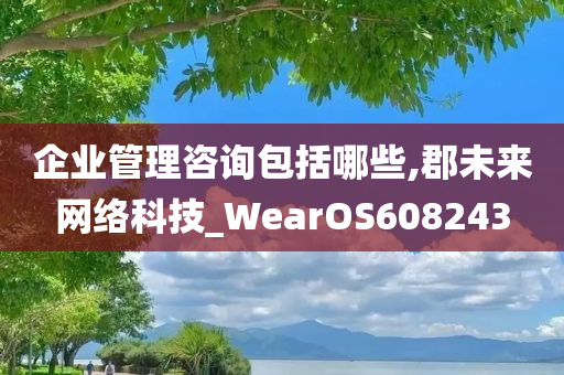 企业管理咨询包括哪些,郡未来网络科技_WearOS608243