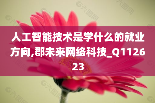 人工智能技术是学什么的就业方向,郡未来网络科技_Q112623