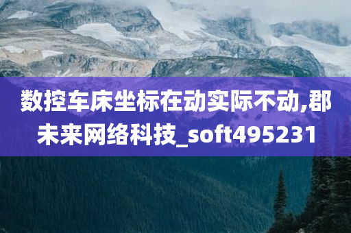 数控车床坐标在动实际不动,郡未来网络科技_soft495231