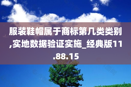 服装鞋帽属于商标第几类类别,实地数据验证实施_经典版11.88.15