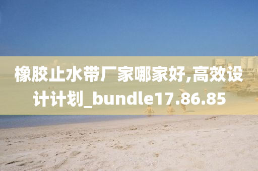 橡胶止水带厂家哪家好,高效设计计划_bundle17.86.85