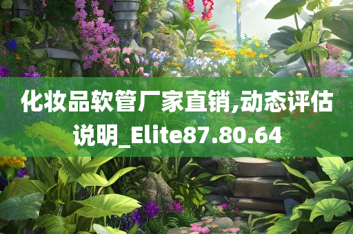 化妆品软管厂家直销,动态评估说明_Elite87.80.64