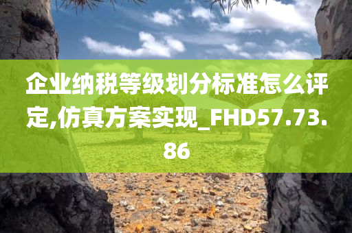 企业纳税等级划分标准怎么评定,仿真方案实现_FHD57.73.86