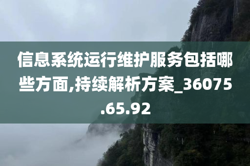 信息系统运行维护服务包括哪些方面,持续解析方案_36075.65.92