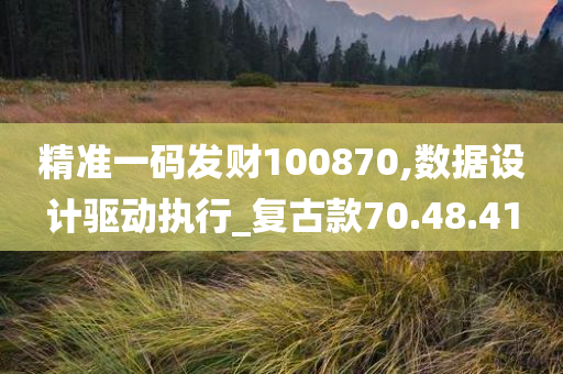 精准一码发财100870,数据设计驱动执行_复古款70.48.41