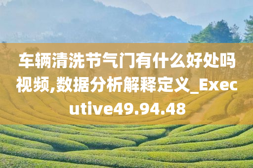 车辆清洗节气门有什么好处吗视频,数据分析解释定义_Executive49.94.48