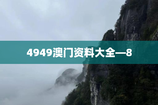 4949澳门资料大全—8