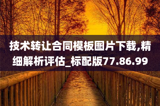 技术转让合同模板图片下载,精细解析评估_标配版77.86.99