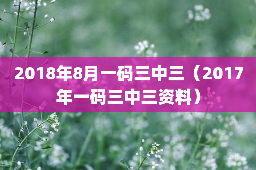 2018年8月一码三中三（2017年一码三中三资料）