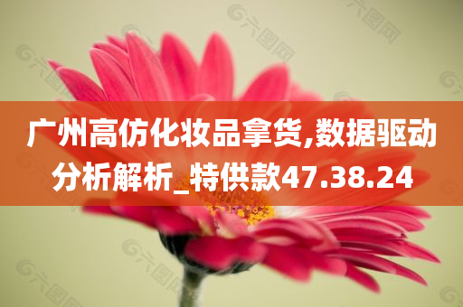 广州高仿化妆品拿货,数据驱动分析解析_特供款47.38.24