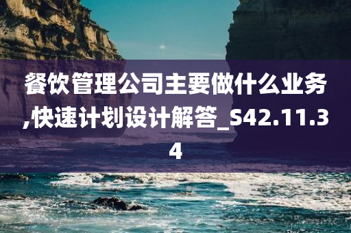 餐饮管理公司主要做什么业务,快速计划设计解答_S42.11.34