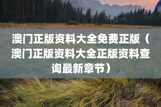 澳门正版资料大全免费正版（澳门正版资料大全正版资料查询最新章节）