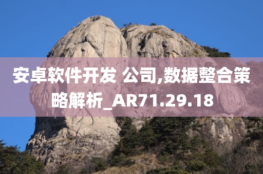 安卓软件开发 公司,数据整合策略解析_AR71.29.18