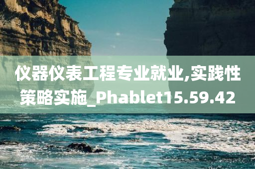 仪器仪表工程专业就业,实践性策略实施_Phablet15.59.42