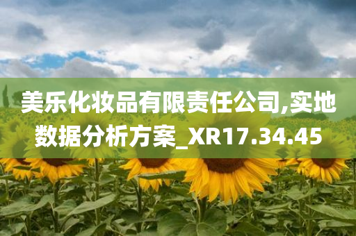 美乐化妆品有限责任公司,实地数据分析方案_XR17.34.45