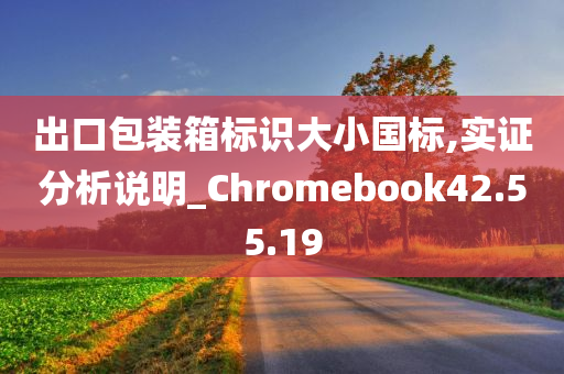 出口包装箱标识大小国标,实证分析说明_Chromebook42.55.19