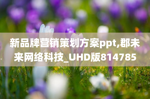 新品牌营销策划方案ppt,郡未来网络科技_UHD版814785