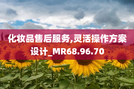 化妆品售后服务,灵活操作方案设计_MR68.96.70