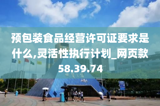 预包装食品经营许可证要求是什么,灵活性执行计划_网页款58.39.74