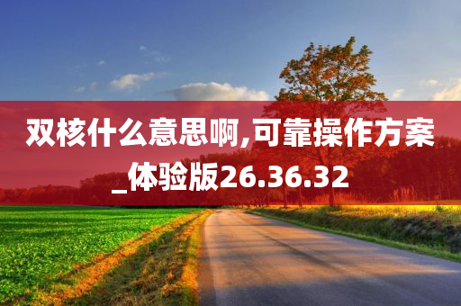 双核什么意思啊,可靠操作方案_体验版26.36.32