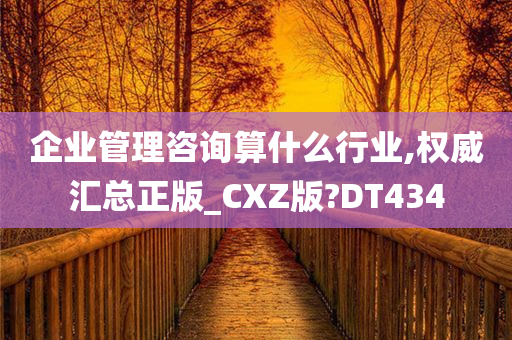 企业管理咨询算什么行业,权威汇总正版_CXZ版?DT434