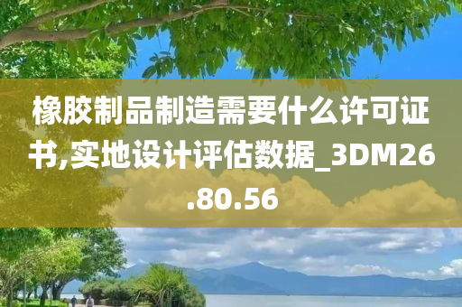 橡胶制品制造需要什么许可证书,实地设计评估数据_3DM26.80.56