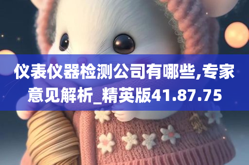 仪表仪器检测公司有哪些,专家意见解析_精英版41.87.75