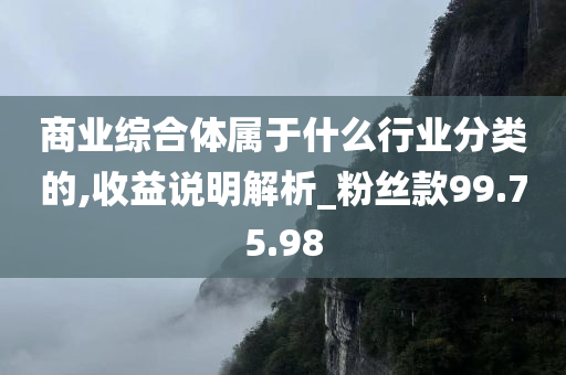 商业综合体属于什么行业分类的,收益说明解析_粉丝款99.75.98