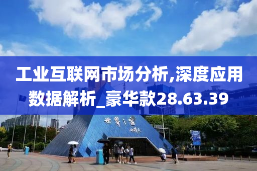 工业互联网市场分析,深度应用数据解析_豪华款28.63.39