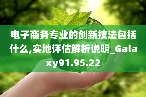 电子商务专业的创新技法包括什么,实地评估解析说明_Galaxy91.95.22