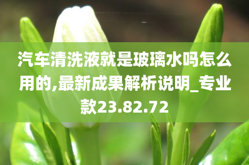 汽车清洗液就是玻璃水吗怎么用的,最新成果解析说明_专业款23.82.72