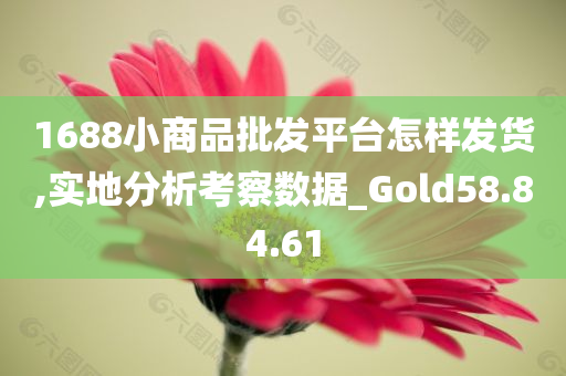 1688小商品批发平台怎样发货,实地分析考察数据_Gold58.84.61