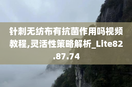 针刺无纺布有抗菌作用吗视频教程,灵活性策略解析_Lite82.87.74