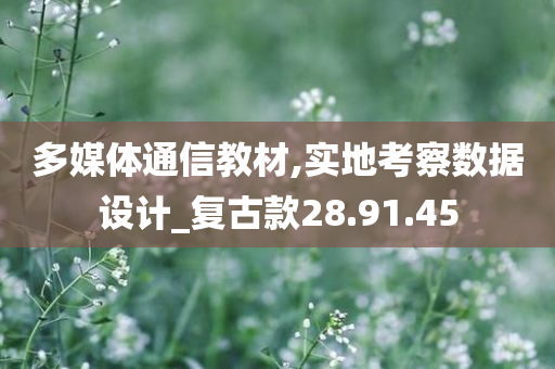 多媒体通信教材,实地考察数据设计_复古款28.91.45