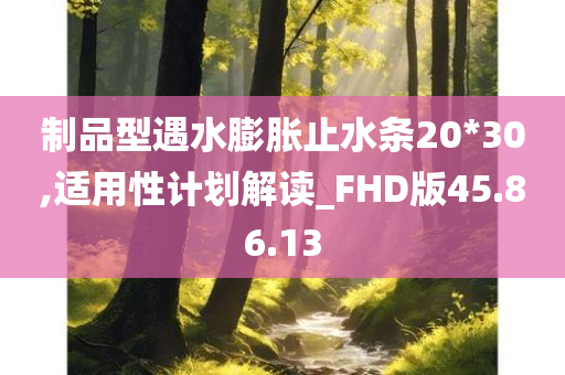 制品型遇水膨胀止水条20*30,适用性计划解读_FHD版45.86.13