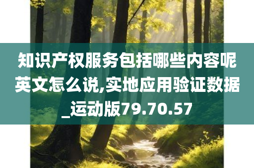 知识产权服务包括哪些内容呢英文怎么说,实地应用验证数据_运动版79.70.57