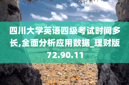 四川大学英语四级考试时间多长,全面分析应用数据_理财版72.90.11