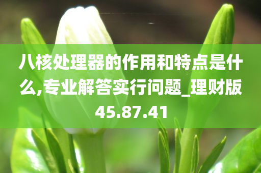 八核处理器的作用和特点是什么,专业解答实行问题_理财版45.87.41