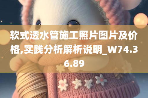 软式透水管施工照片图片及价格,实践分析解析说明_W74.36.89