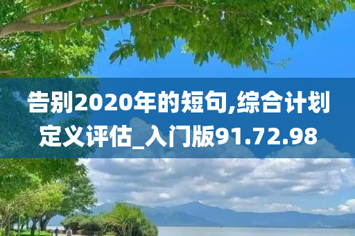 告别2020年的短句,综合计划定义评估_入门版91.72.98