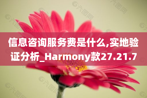 信息咨询服务费是什么,实地验证分析_Harmony款27.21.70