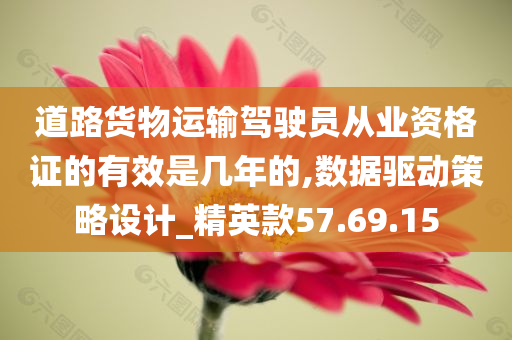 道路货物运输驾驶员从业资格证的有效是几年的,数据驱动策略设计_精英款57.69.15