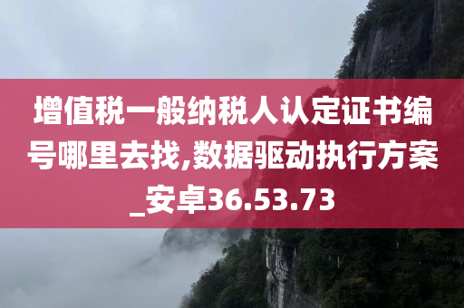 增值税一般纳税人认定证书编号哪里去找,数据驱动执行方案_安卓36.53.73