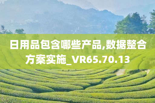 日用品包含哪些产品,数据整合方案实施_VR65.70.13